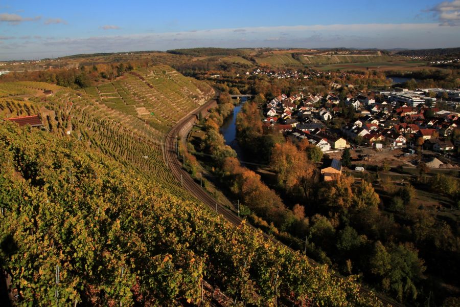 IMG 7346 Andere TSV Meimsheim